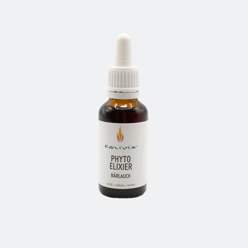 Green Cleanse — Bärlauch Detox