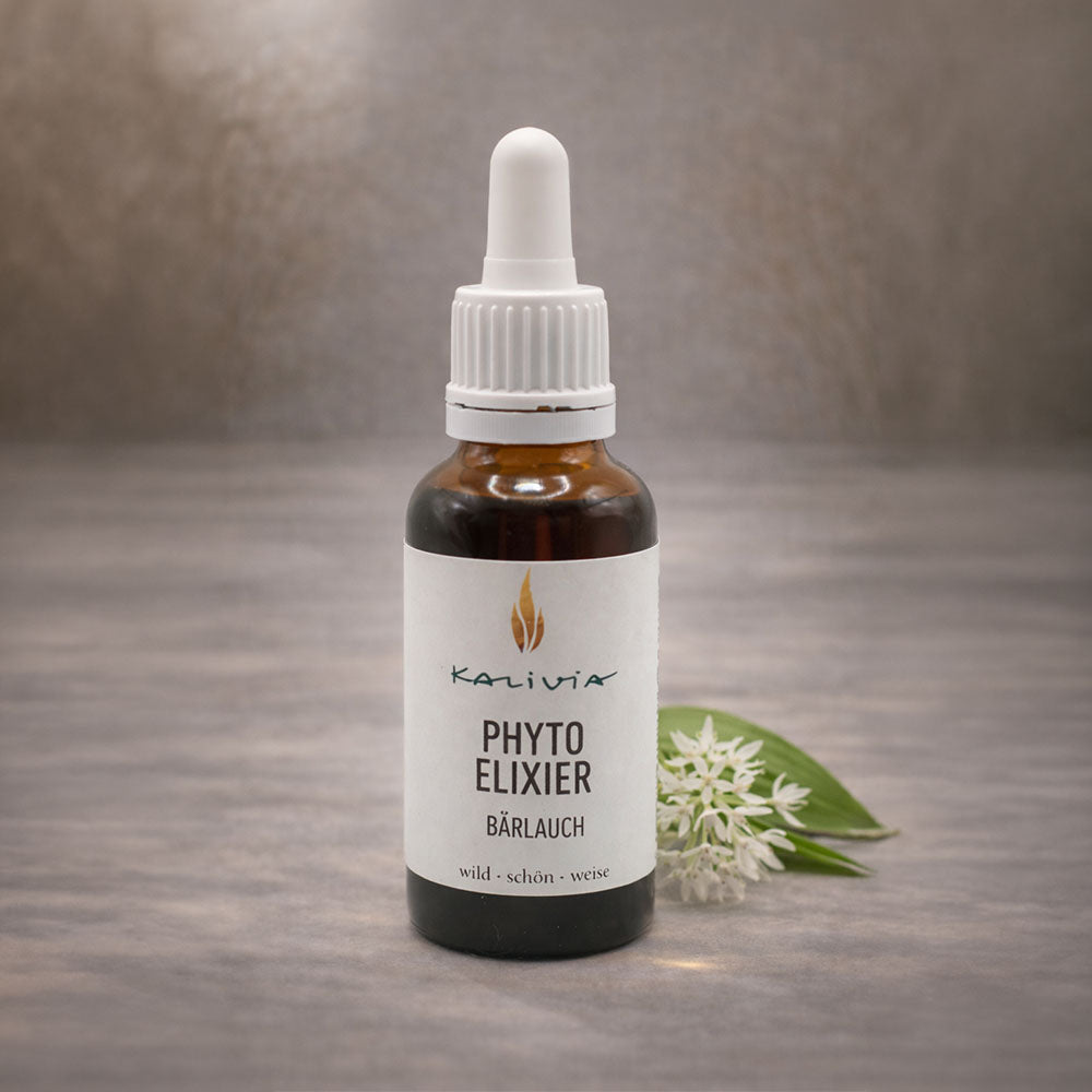 Green Cleanse — Bärlauch Detox